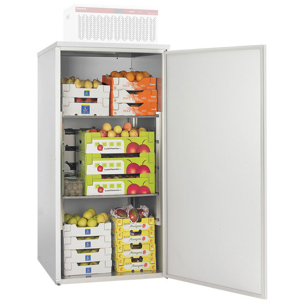 Mini-Koelcel | REFRIBOX | 1.45m³ | Isolatie 40mm | 935x995x1992(h)mm