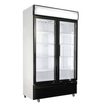 mist trimmen Winderig Horeca koelkast met dubbele glazen deur, koelkasten met twee glazen deuren  kopen - Horecagemak