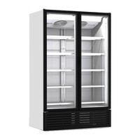 Horeca Koelkasten 2 Glasdeuren