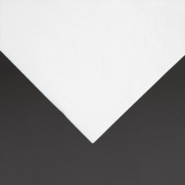 Cocktailservetten | Recyclebaar Papier | 4000 stuks | 240x240mm