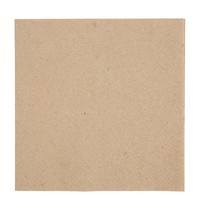 Fiesta Recyclable Cocktailservetten | Recyclebaar Papier | 4000 stuks | 240x240mm