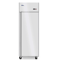 Arktic by HENDI Vrieskast | ProfiLine | 670L (2/1 GN) | RVS | -17°C/-22°C | Geforceerd | 0.6kW | Wielen (Geremd) | 730x805x2065(h)mm 