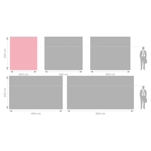 LED-Frame | PRO | Aluminium | Dubbelzijdig | Incl. Rolkoffer | 45W (230V) | 2000x120x2500(h)mm