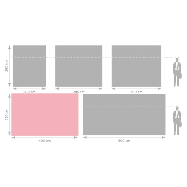 LED-Frame | PRO | Aluminium | Dubbelzijdig | Incl. Rolkoffer | 45W (230V) | 4000x120x2500(h)mm