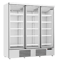 CombiSteel Koelkast | 1530L | Wit | 0°C/+10°C | Geforceerd | 0.74kW | Klapdeuren | Wielen (Geremd) | 1880x710x1997(h)mm 