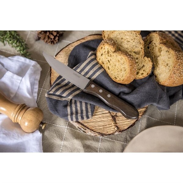 Steakmessen | CHURRASCO | RVS | 6 Stuks | Lengte 250mm