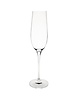 Olympia Champagneglazen | CAMPANA | Kristalglas | 26cl | 6 Stuks | Ø45x265(h)mm 