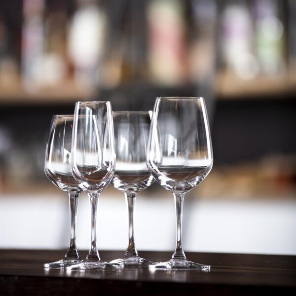 Champagneglazen | MENDOZA | Glas | 18.5cl | 6 Stuks | Ø57x210(h)mm