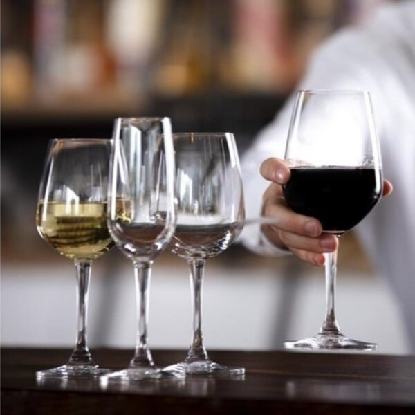 Champagneglazen | MENDOZA | Glas | 18.5cl | 6 Stuks | Ø57x210(h)mm