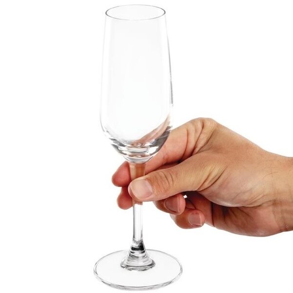Champagneglazen | MENDOZA | Glas | 18.5cl | 6 Stuks | Ø57x210(h)mm