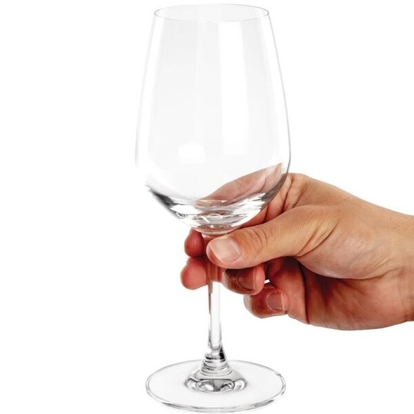 Wijnglazen | MENDOZA | Glas | 45.5cl | 6 Stuks | Ø87x217(h)mm