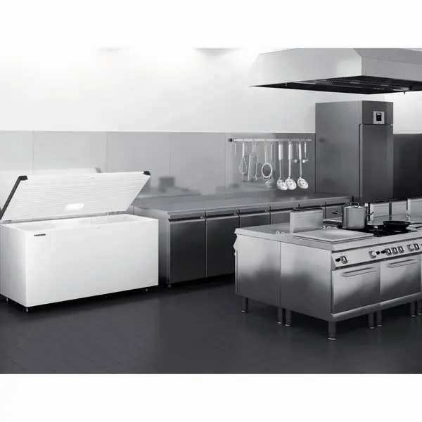 Vrieskist | EFL | 444L | Wit | -14°C/-24°C | Statisch | Klapdeksel | Lage Omgevingstemp. (Tot -15°C) | 1465x710x825(h)mm