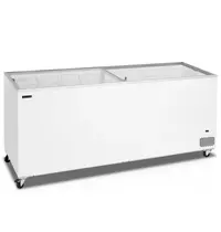 Tefcold Vrieskist | ICECREAM | 670L | Wit | -14°C/-24°C | Statisch | Schuifdeksels (Vlak) | 2055x630x892(h)mm 