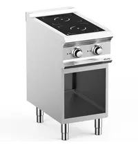 MBM Italy Inductiefornuis | DOMINA PRO 700 | 2 Kookpunten | 7kW (400V) | Open Onderkast | 400x730x850(h)mm
