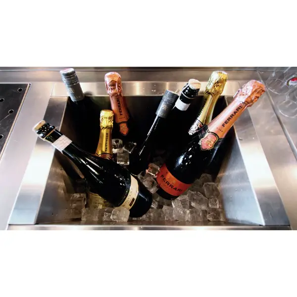 Inbouw-Flessenvriezer | VKHC-LINE | Gekoelde Kuip (10x 1L) | -15°C/0°C | Statisch | 510x423x253(h)mm