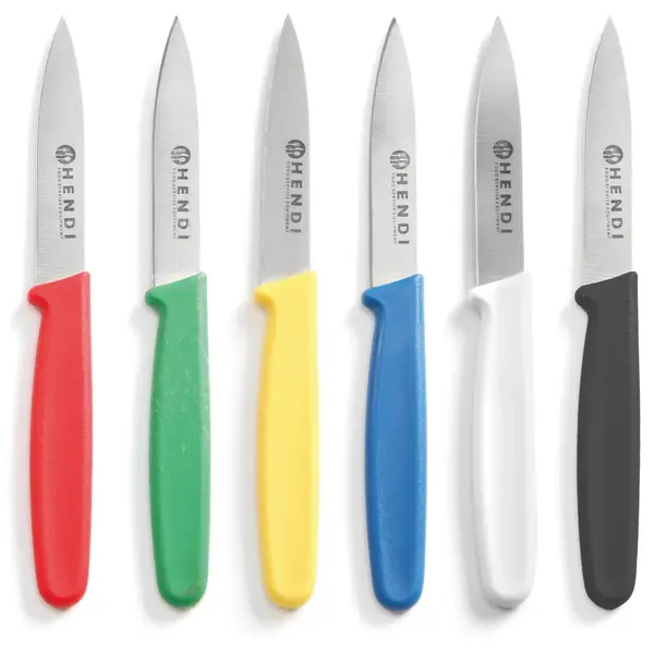 Schilmessenset | RVS | Div. Kleuren | HACCP | 6 Stuks | Lengte 175mm