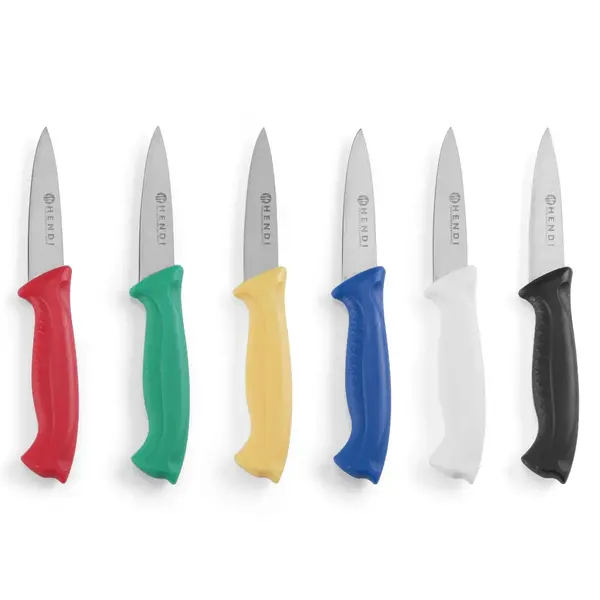 Schilmessenset | RVS | Div. Kleuren | HACCP | 6 Stuks | Lengte 185mm