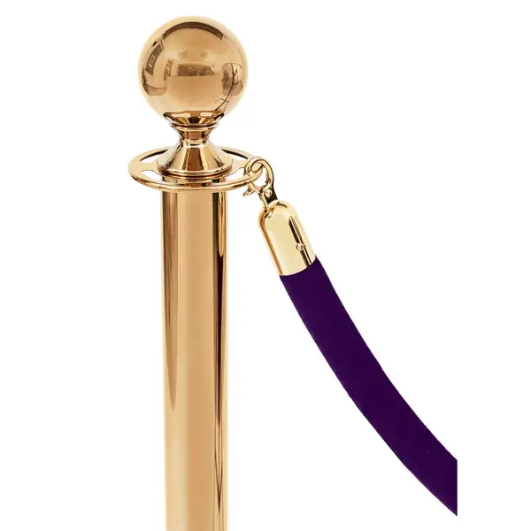 Afzetkoord | Goudkleurig/Paars (Velours) | 150cm