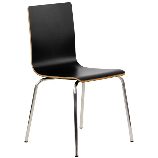 Stoel | DANIS | Zwart | RVS Poten | 485x530x820(h)mm