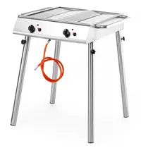 HENDI Barbecue | XANTOS | Propaangas | 2 Roosters (540x540) | 2 Branders | 9.5kW | 770x710x870(h)mm