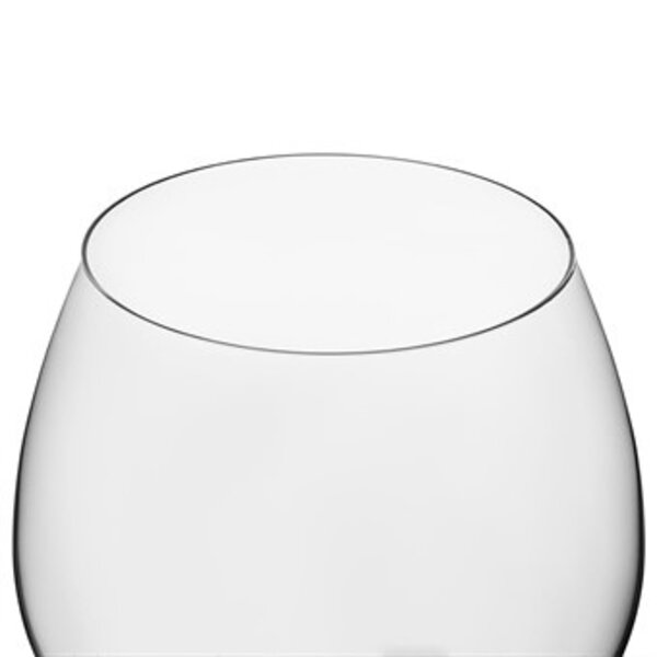 Wijnglazen | SERENA | Glas | 65cl | 6 Stuks | 209(h)mm