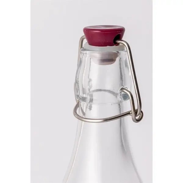 Fles | Glas | 0.55L | Beugelsluiting (Luchtdicht) | Per Stuk | Ø67x274(h)mm