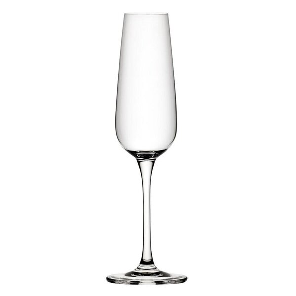 Champagneglazen | MISSISSIPPI | Kristalglas | 21cl | 6 Stuks