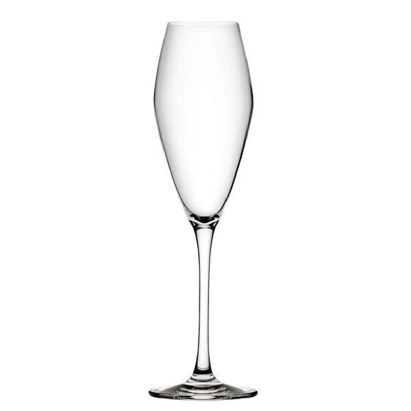 Champagneglazen | SEINE | Kristalglas | 26cl | 6 Stuks