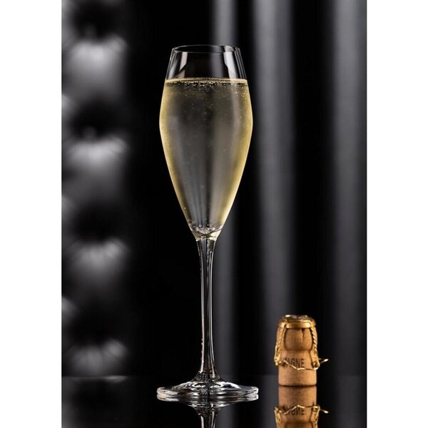 Champagneglazen | SEINE | Kristalglas | 26cl | 6 Stuks