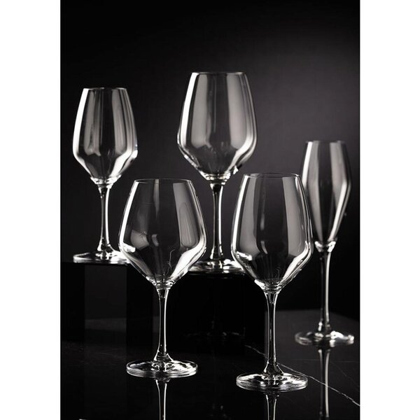 Champagneglazen | SEINE | Kristalglas | 26cl | 6 Stuks