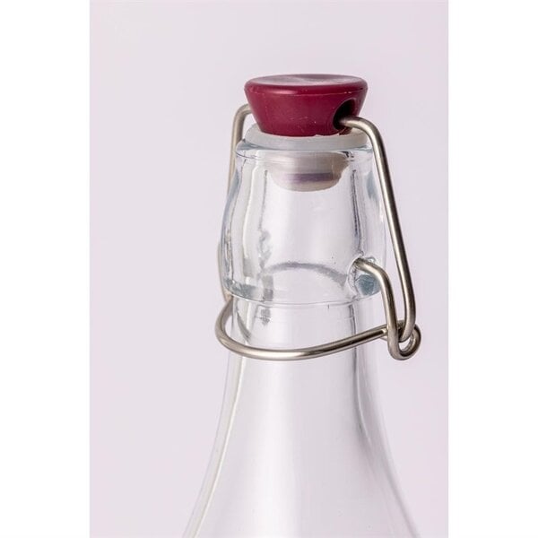 Fles | Glas | 0.25L | Beugelsluiting (Luchtdicht) | Per Stuk