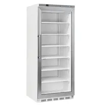 Diverso by Diamond Vrieskast | 600L (2/1 GN) | Wit | -15°C/-20°C | Statisch | Wielen | 780x768x1902(h)mm 