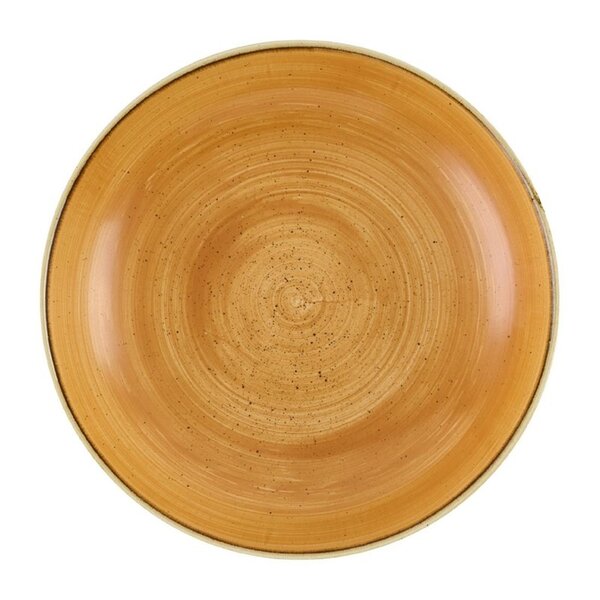 Coupeschalen | STONECAST | Tangerine | 12 Stuks | Ø248mm