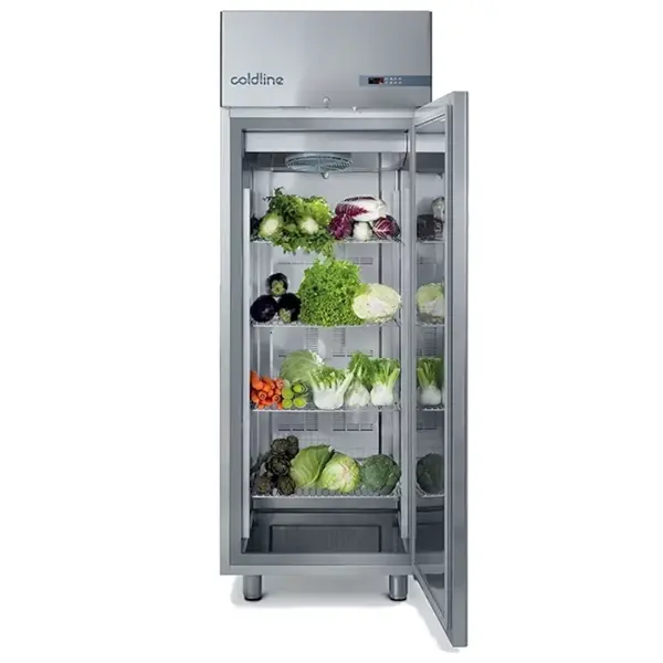 Koelkast | MASTER | Energiezuinig | 601L | RVS | 0°C/+10°C | Geforceerd | WiFi + App | 740x815x2085(h)mm