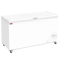 Diamond Vrieskist | Wit | 479L | -14°C/-24°C | Statisch | Kanteldeksel | 1555x720x845(h)mm 