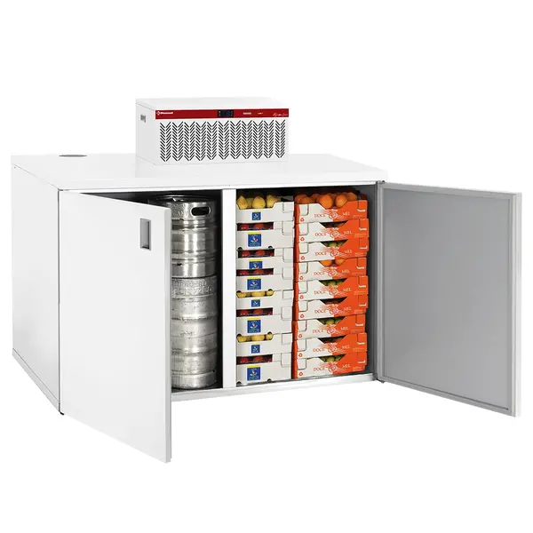 Mini-Koelcel | REFRIBOX | Laag Model | Incl. Motor | 0.58m³ | Isolatie 40mm | 230V | 1060x730x1060/1370(h)mm