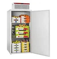 Diamond Mini-Koelcel | REFRIBOX | Incl. Motor | 1.45m³ | +2°C/+8°C | Isolatie 40mm | 230V | 935x995x2390(h)mm 