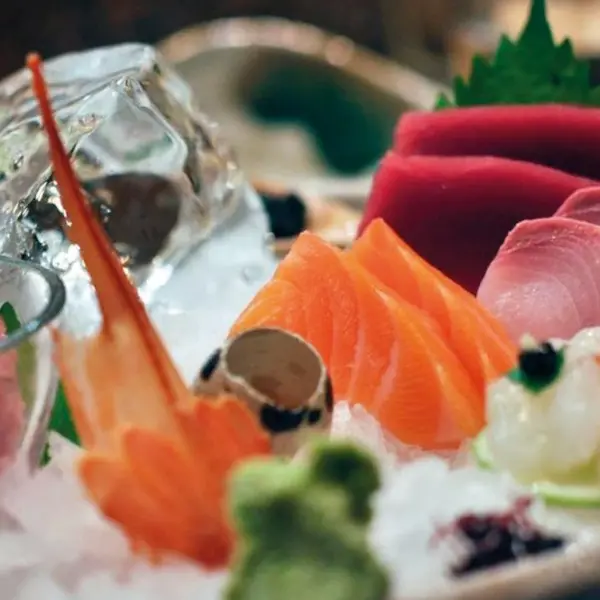 Korrelijsmachine | 270kg/24u | Zonder Bunker | Watergekoeld | 560x569x695(h)mm