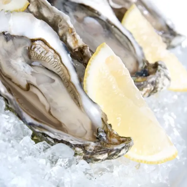 Korrelijsmachine | 270kg/24u | Zonder Bunker | Watergekoeld | 560x569x695(h)mm