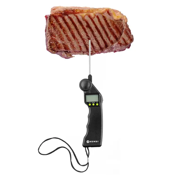 Thermometer | Digitaal | Sonde (Inklapbaar) | -50°C/+300°C | 160x55x20(h)mm