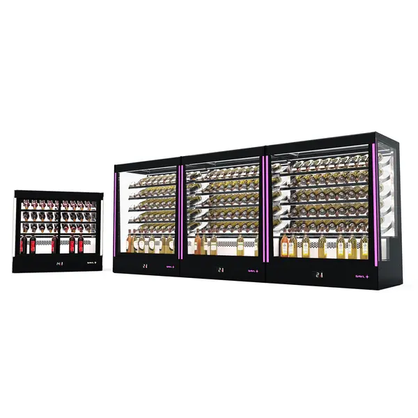 Wijnkoelvitrine | PAK | 40x 75cl | Zwart | +2°C/+6°C | Geforceerd | 3 Niveaus | Zelfbediening | Touchscreen + RGB LEDs | Wielen | 1015x620x950(h)mm