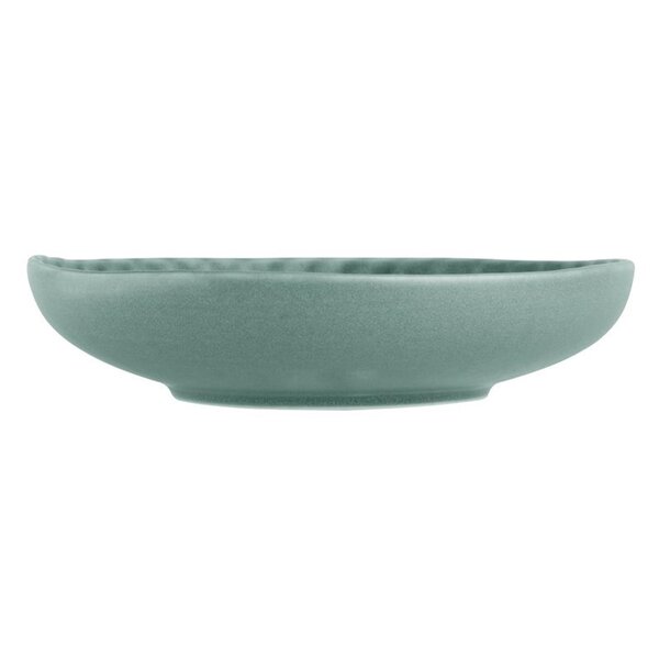 Coupeschalen | CORALLITE | Porselein | Groen | 6 Stuks | Ø220x50(h)mm
