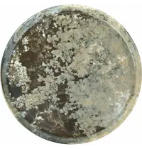 Gural Borden | FOREST | Porselein | Mosgrijs | 12 Stuks | Ø210mm 