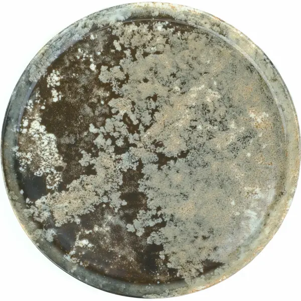 Borden | FOREST | Porselein | Mosgrijs | 12 Stuks | Ø210mm