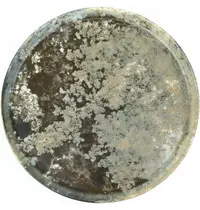 Gural Borden | FOREST | Porselein | Mosgrijs | 6 Stuks | Ø290mm 