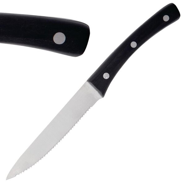 Steakmessen | ANGUS | RVS/Kunststof | 12 Stuks | Lengte 230mm