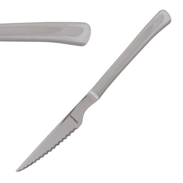 Steakmessen | CHULETERO | RVS | 12 Stuks | Lengte 225mm