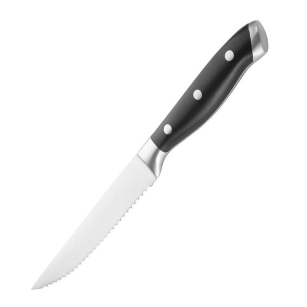 Steakmessen | PREMIUM | RVS/Kunststof | 6 Stuks | Lengte 243mm