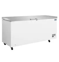 Polar Vrieskist | G-SERIE | Wit/RVS | 600L | -18°C/-25°C | Statisch | Kanteldeksel | 2035x730x970(h)mm