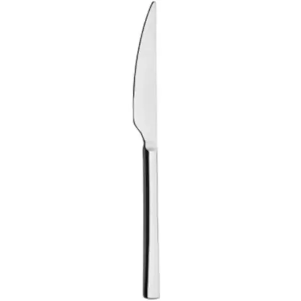 Tafelmessen | ROYAL | RVS | 12 Stuks | Lengte 220mm